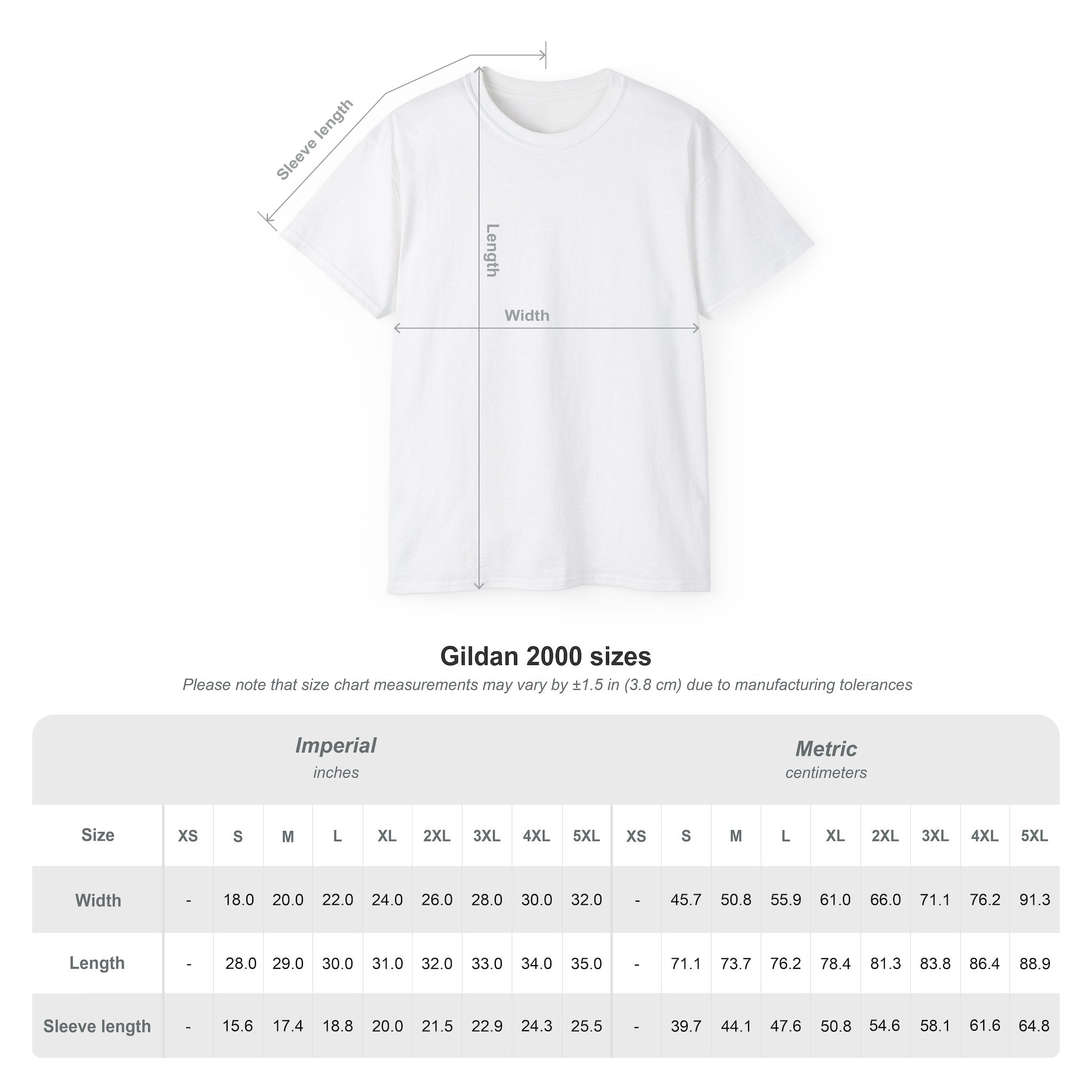 Classic White Cotton Tee - Plain Crewneck Shirt