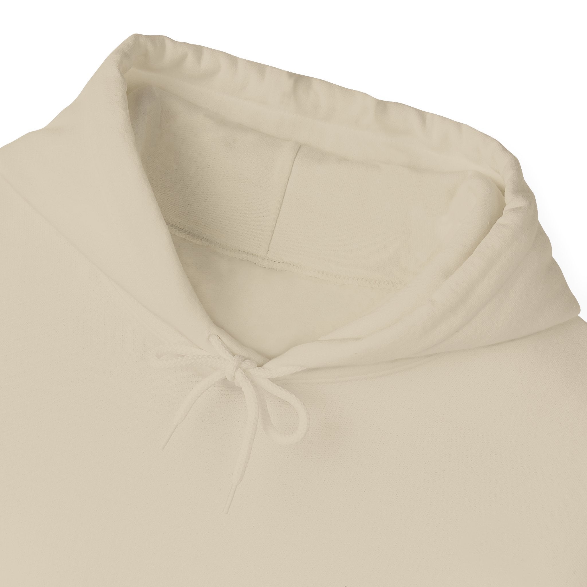 Cozy Classic Hoodie