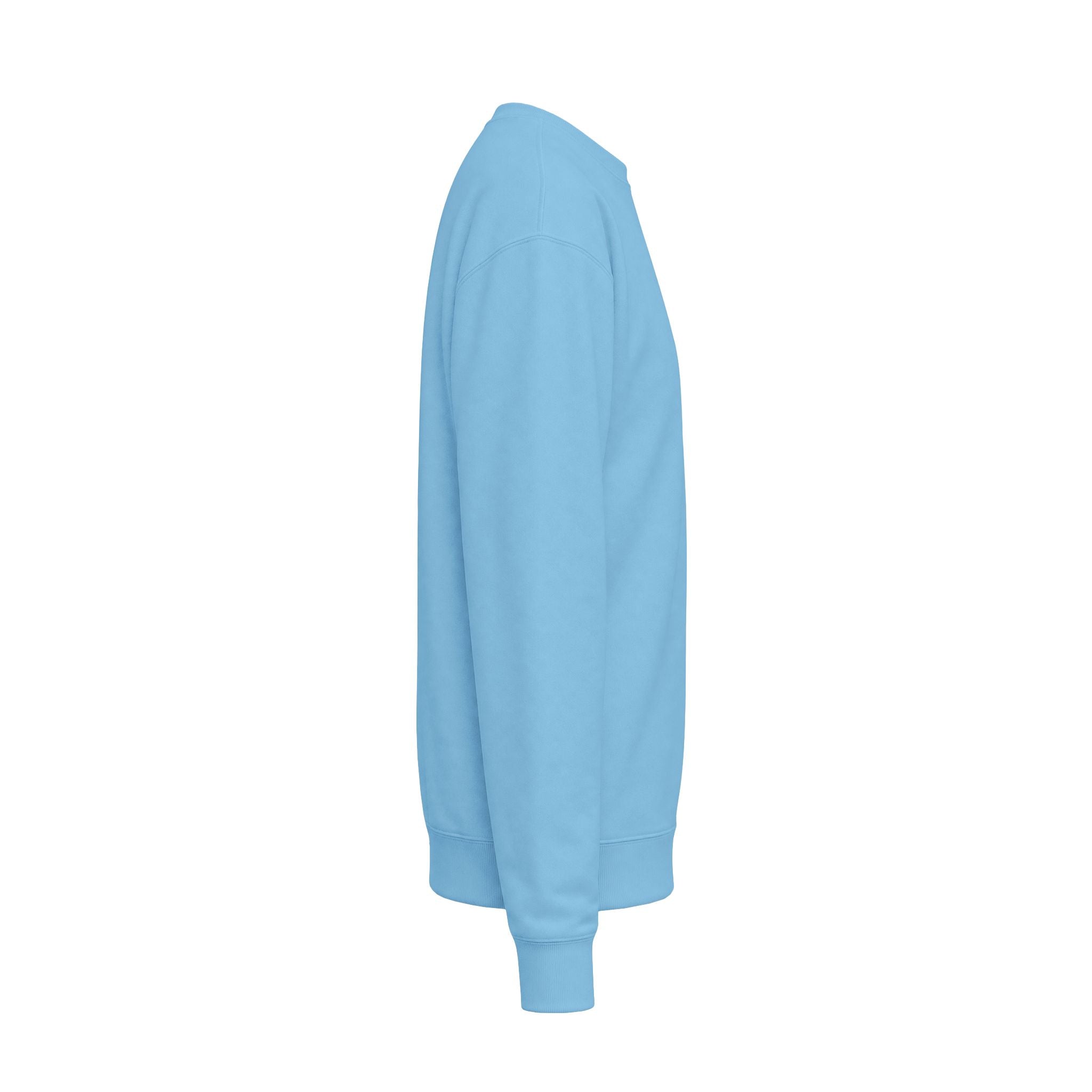 Unisex Midweight Softstyle Fleece Crewneck Sweatshirt
