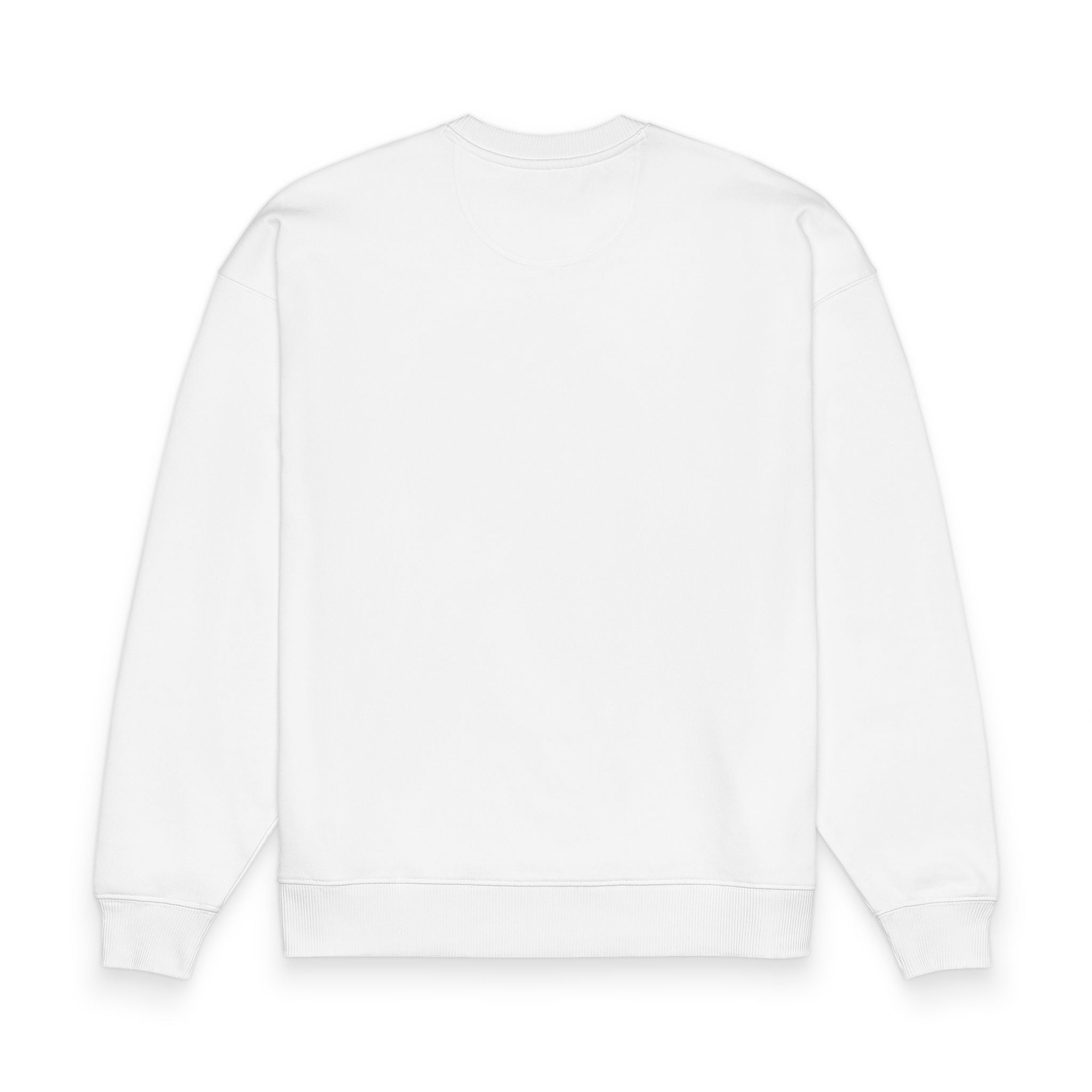 Radder 2.0 Oversized Sweatshirt — Organic Casual Crewneck