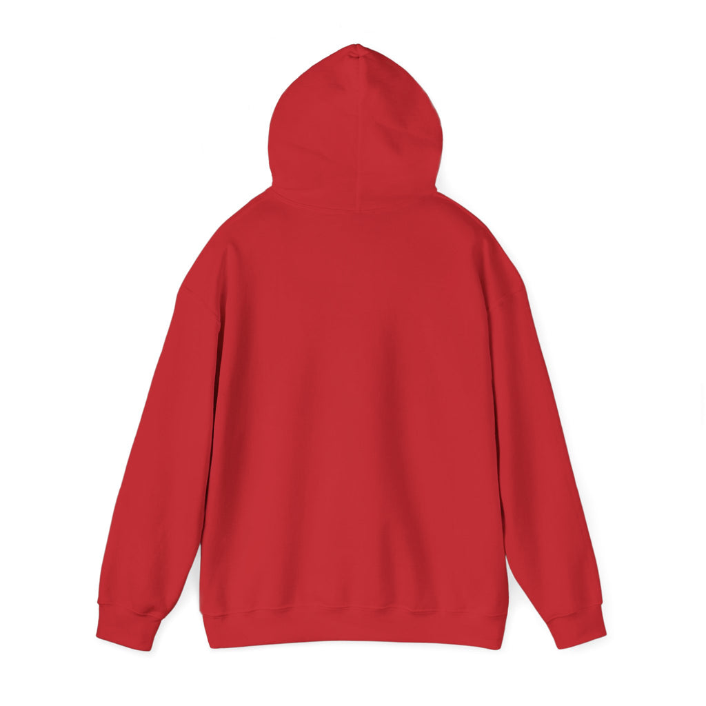 Cozy Classic Hoodie